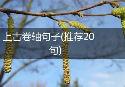 上古卷轴句子(推荐20句)