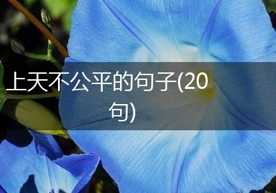 上天不公平的句子(20句)