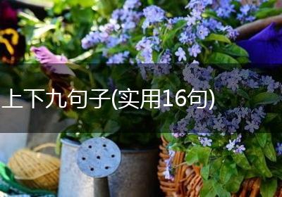 上下九句子(实用16句)