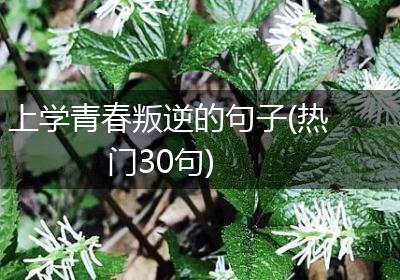 上学青春叛逆的句子(热门30句)