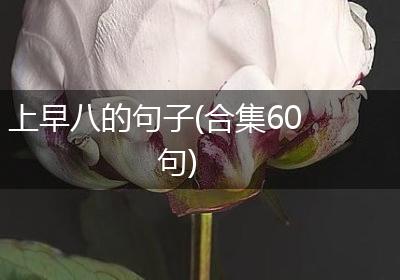 上早八的句子(合集60句)