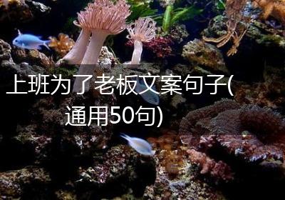 上班为了老板文案句子(通用50句)