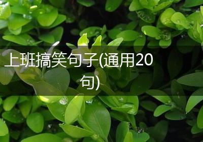 上班搞笑句子(通用20句)
