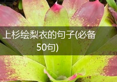 上杉绘梨衣的句子(必备50句)