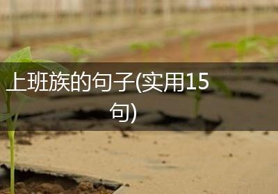 上班族的句子(实用15句)