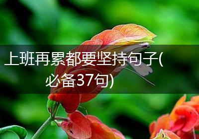上班再累都要坚持句子(必备37句)