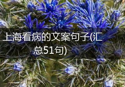 上海看病的文案句子(汇总51句)