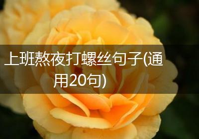 上班熬夜打螺丝句子(通用20句)