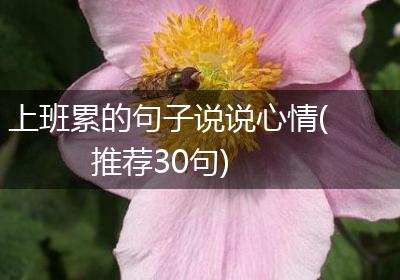 上班累的句子说说心情(推荐30句)