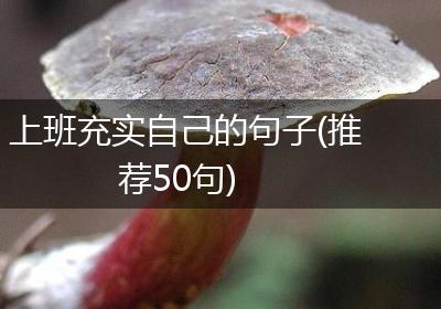 上班充实自己的句子(推荐50句)