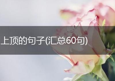 上顶的句子(汇总60句)