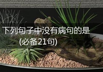 下列句子中没有病句的是(必备21句)