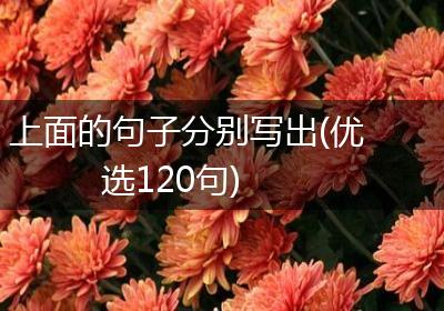 上面的句子分别写出(优选120句)