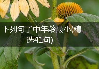 下列句子中年龄最小(精选41句)