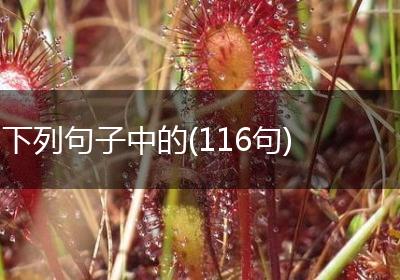 下列句子中的(116句)