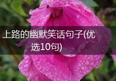 上路的幽默笑话句子(优选10句)