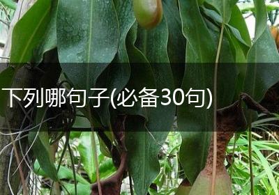 下列哪句子(必备30句)