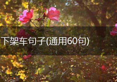 下架车句子(通用60句)