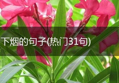 下烟的句子(热门31句)