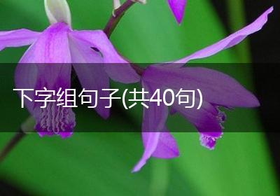 下字组句子(共40句)