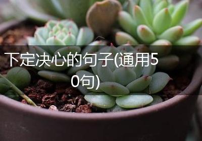 下定决心的句子(通用50句)