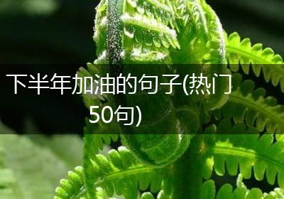 下半年加油的句子(热门50句)