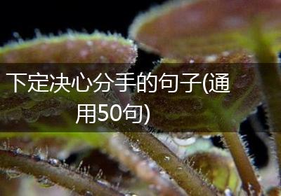 下定决心分手的句子(通用50句)