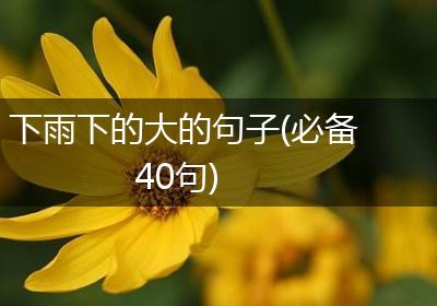 下雨下的大的句子(必备40句)