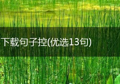 下载句子控(优选13句)
