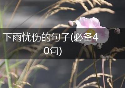 下雨忧伤的句子(必备40句)