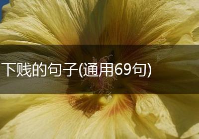 下贱的句子(通用69句)