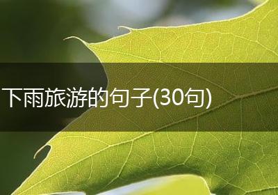 下雨旅游的句子(30句)