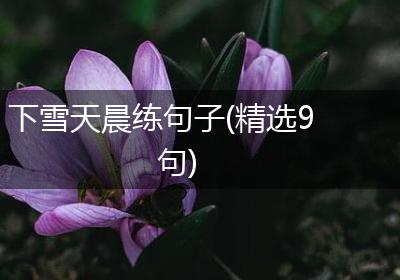 下雪天晨练句子(精选9句)