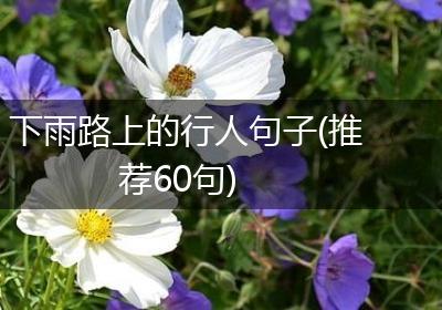 下雨路上的行人句子(推荐60句)