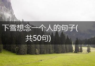 下雪想念一个人的句子(共50句)