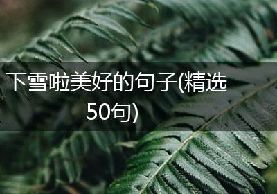 下雪啦美好的句子(精选50句)