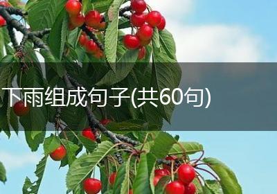 下雨组成句子(共60句)