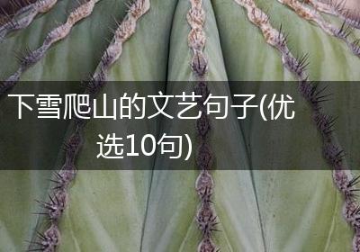 下雪爬山的文艺句子(优选10句)