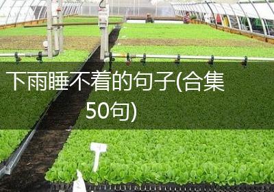 下雨睡不着的句子(合集50句)
