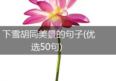 下雪胡同美景的句子(优选50句)
