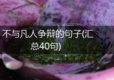 不与凡人争辩的句子(汇总40句)