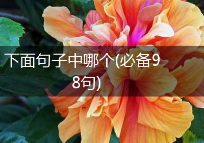 下面句子中哪个(必备98句)
