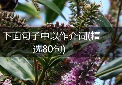 下面句子中以作介词(精选80句)