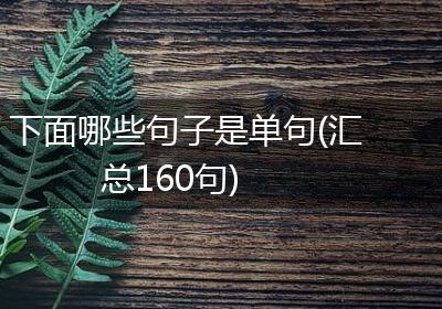 下面哪些句子是单句(汇总160句)