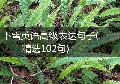 下雪英语高级表达句子(精选102句)