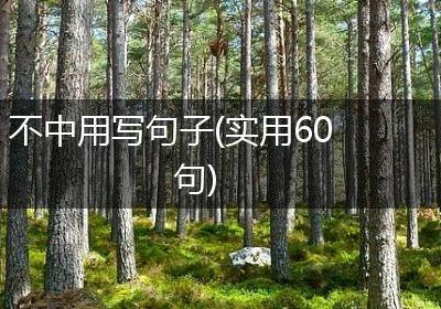 不中用写句子(实用60句)