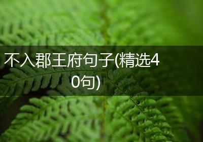 不入郡王府句子(精选40句)