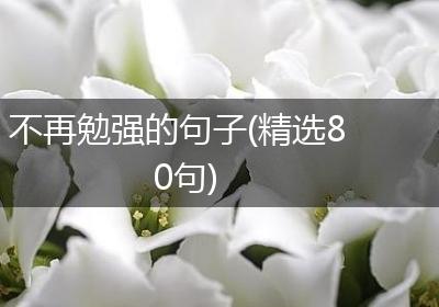 不再勉强的句子(精选80句)