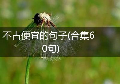 不占便宜的句子(合集60句)
