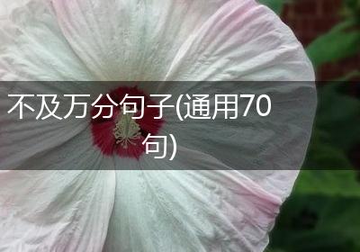 不及万分句子(通用70句)